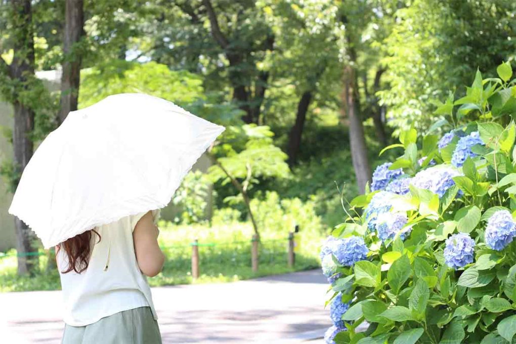 「失神」と「気絶」と「卒倒」の違いって? | ことくらべ