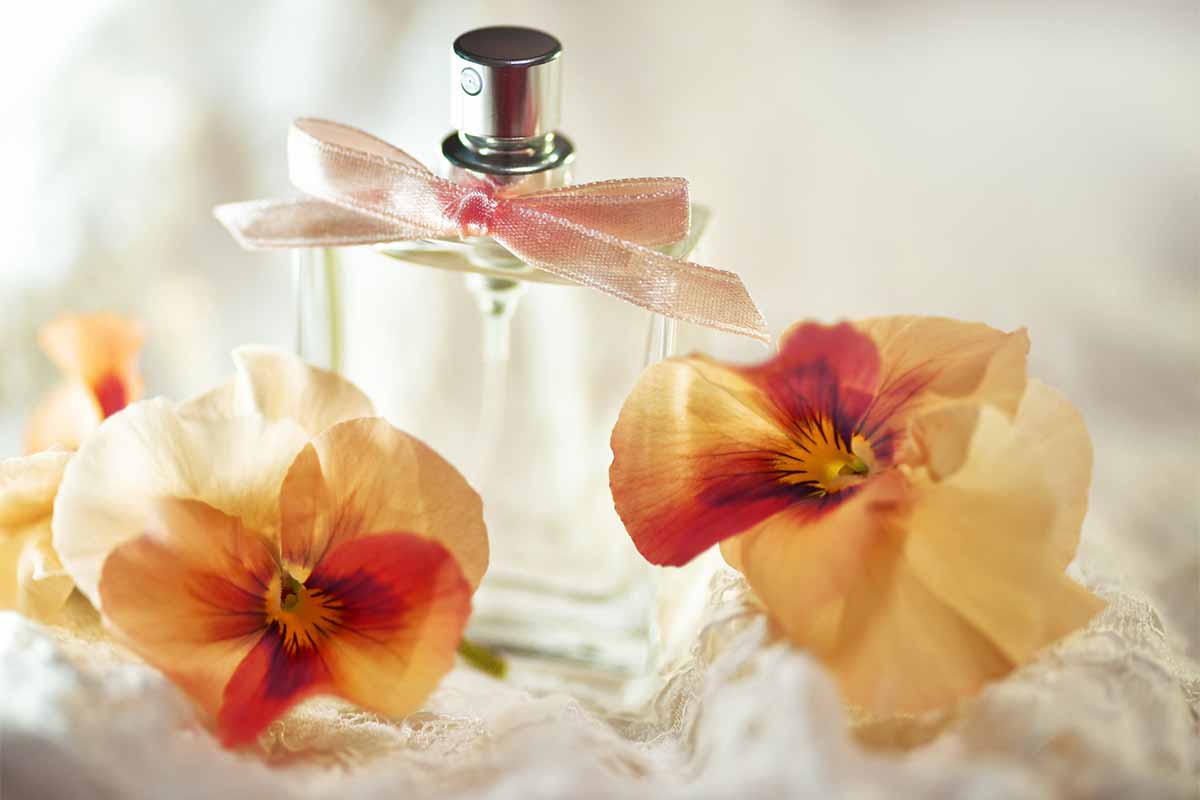 香水と花