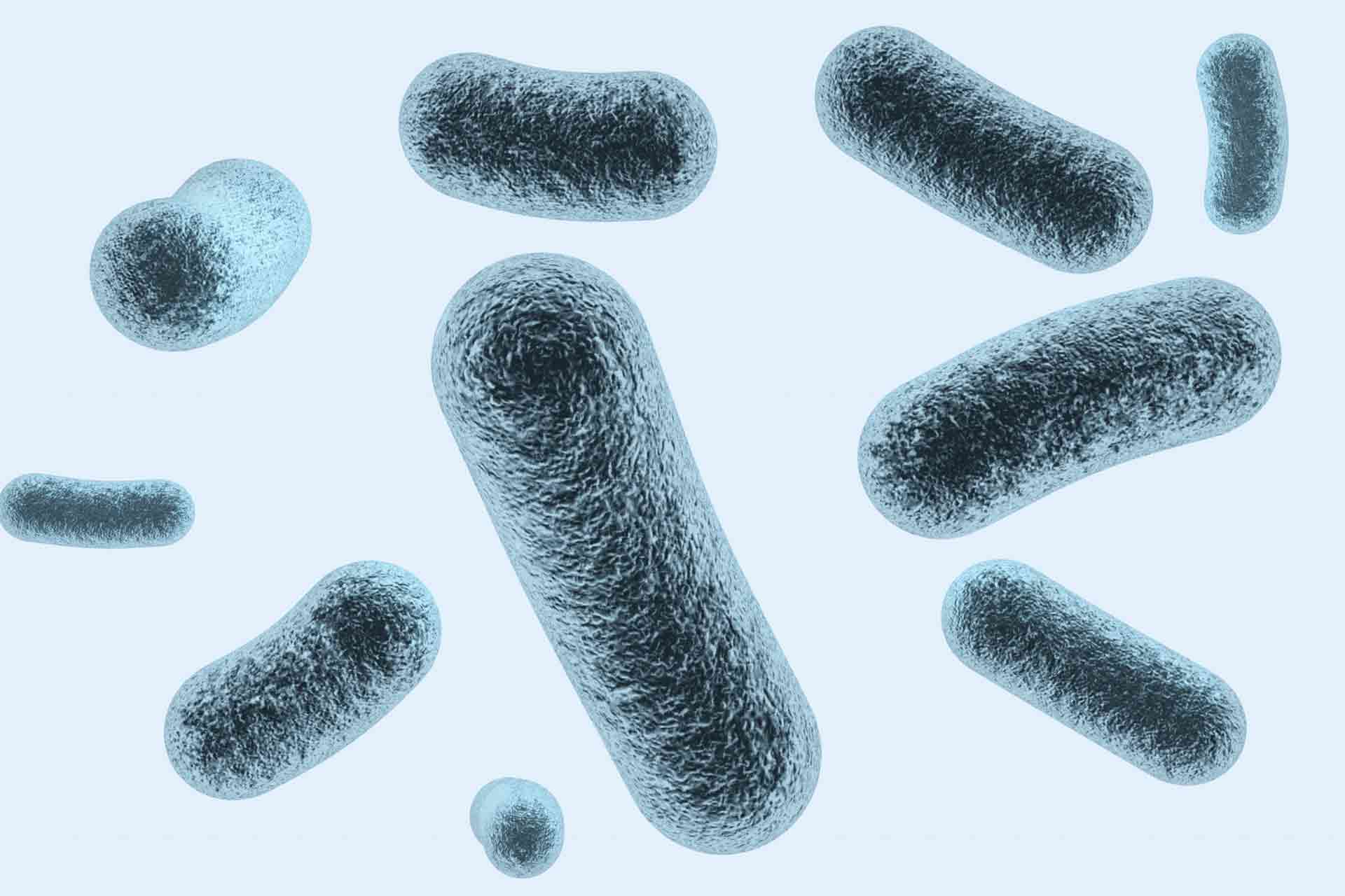 細菌のイメージ