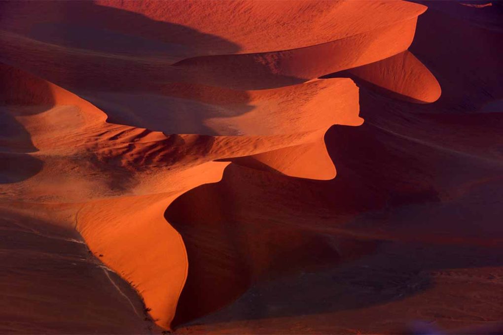 ナミブ砂漠の砂丘