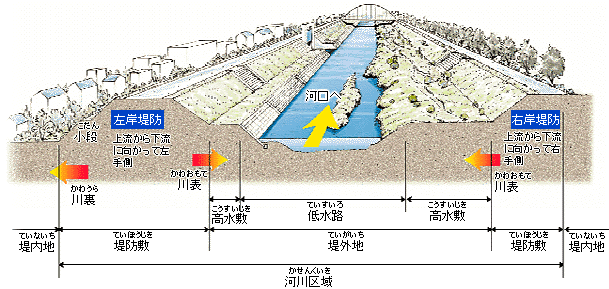 河川敷の断面図