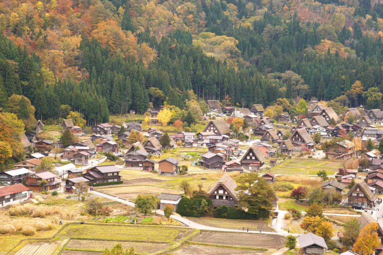 「失神」と「気絶」と「卒倒」の違いって? | ことくらべ